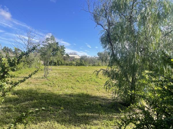 1 256 m² Land