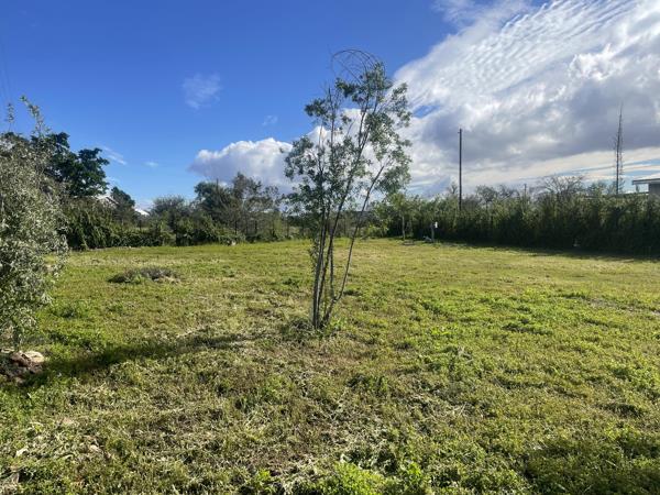 1 256 m² Land