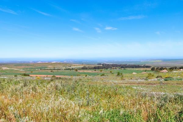 803 m² Land