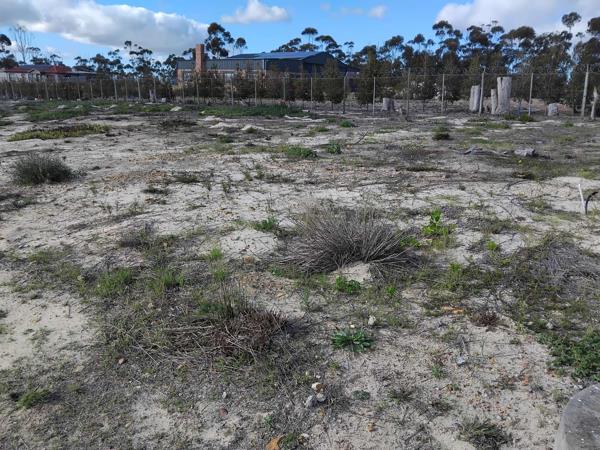 285 m² Land
