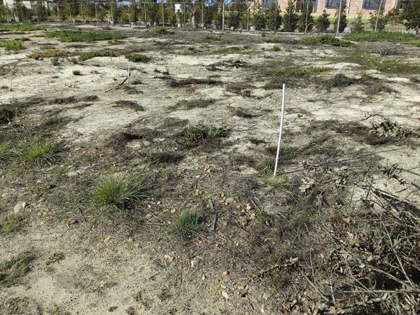 285 m² Land