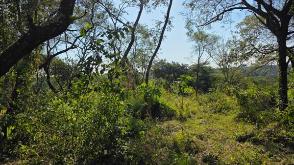 1 210 m² Land