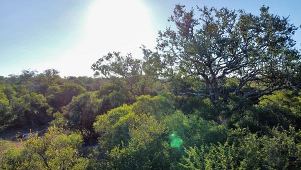 8 840 m² Land