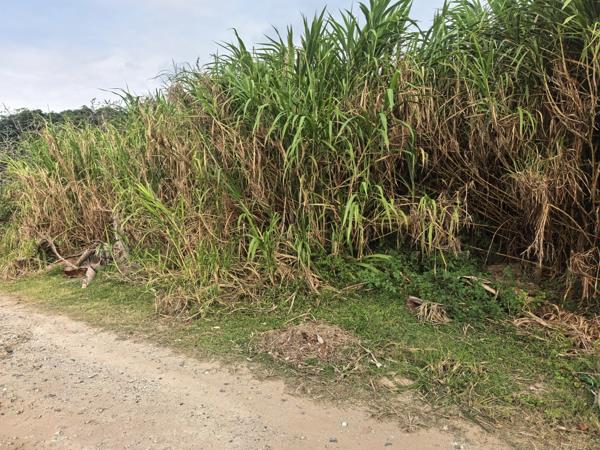 1 079 m² Land