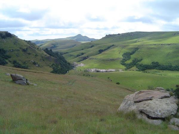 548.4 ha Farm