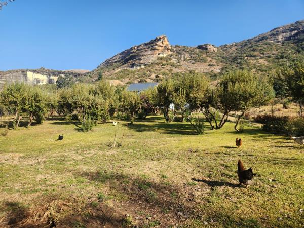 1 334 m² Land