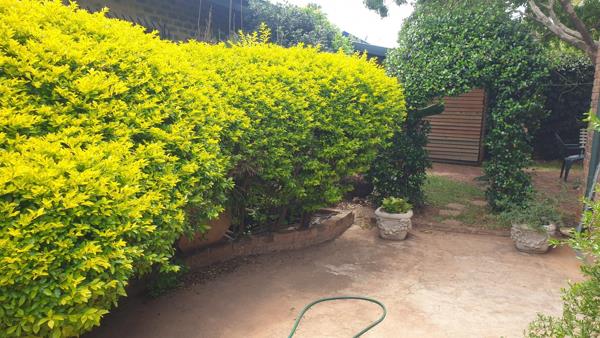 1 Bedroom Garden Cottage