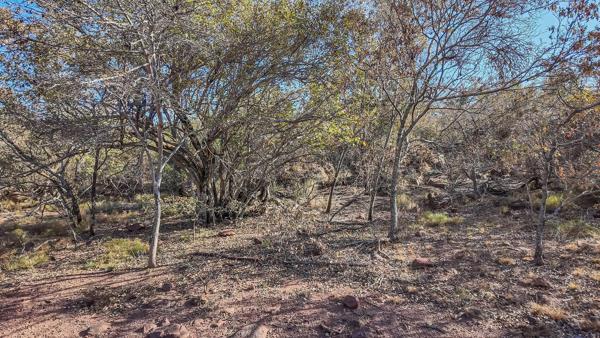 34 ha Commercial Farm