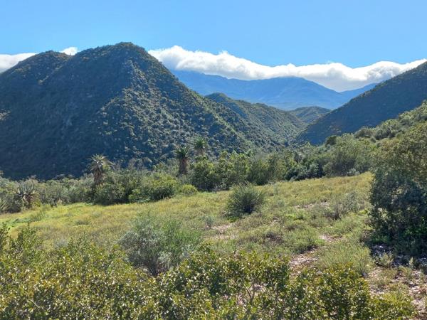10.8 ha Land