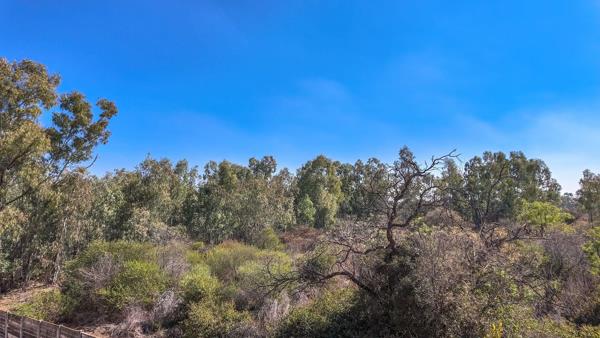 22 ha Commercial Farm
