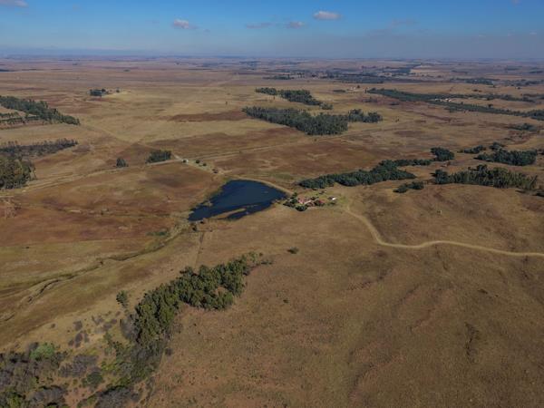 408 ha Farm