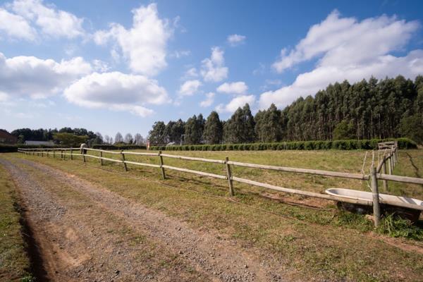 1 ha Land