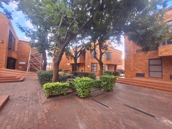 256 m² Office Space