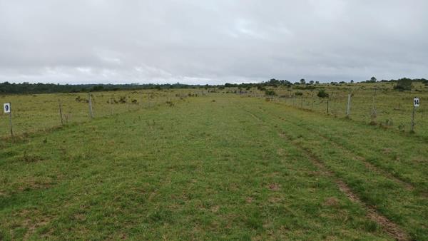 108 ha Farm