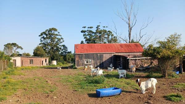 108 ha Farm