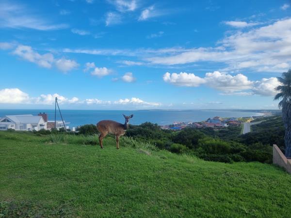 990 m² Land