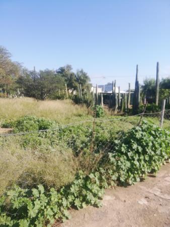 293 m² Land