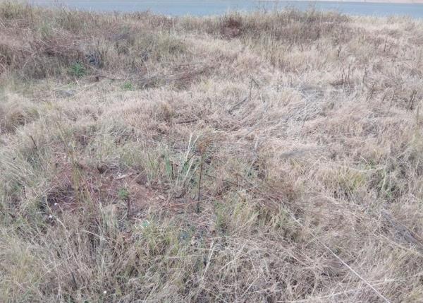 1 336 m² Land