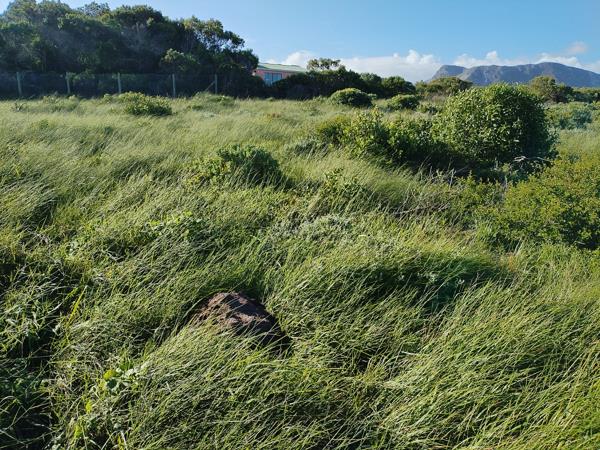 697 m² Land
