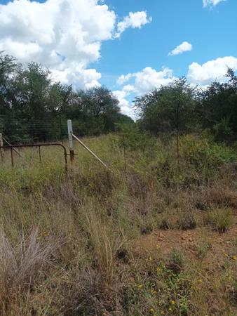 4 ha Smallholding