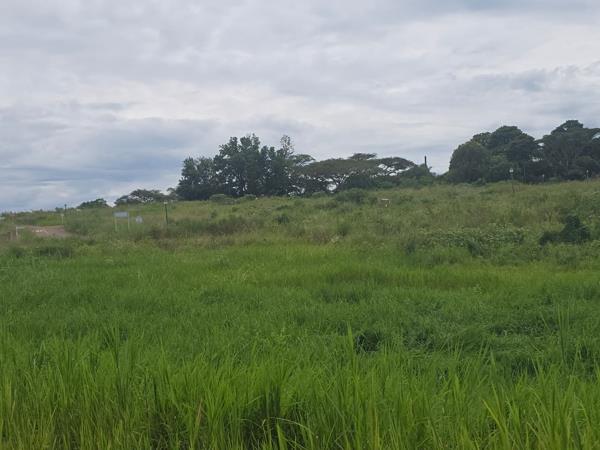685 m² Land