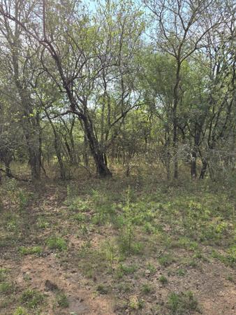 2 100 m² Land