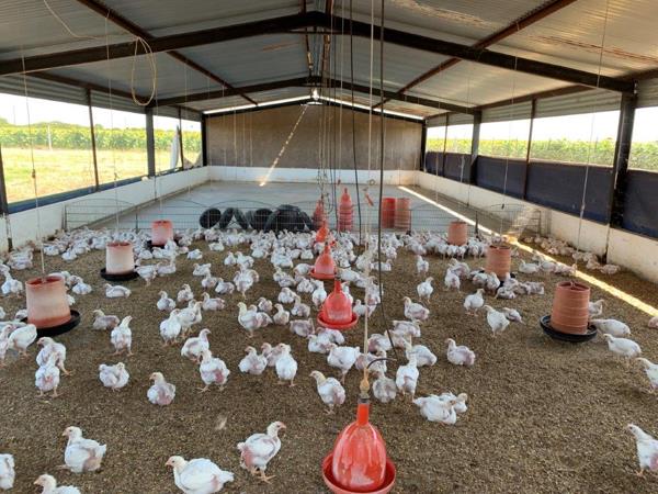 90 ha Farm