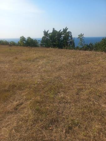 2 205 m² Land