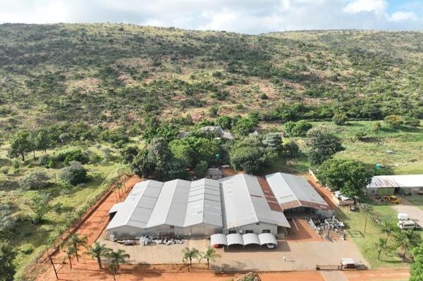 17.7 ha Farm