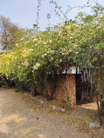 1 Bedroom House