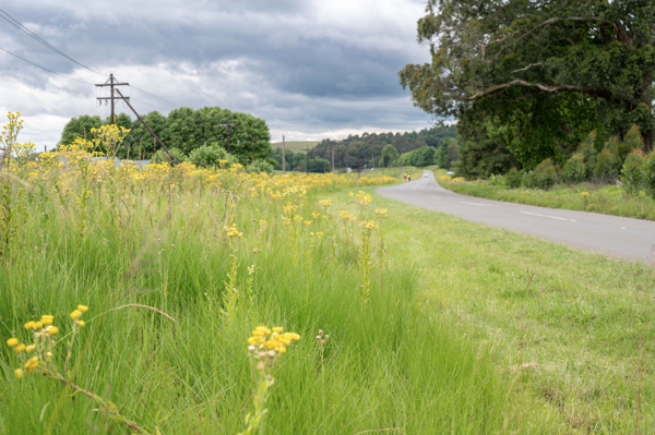 650 m² Land