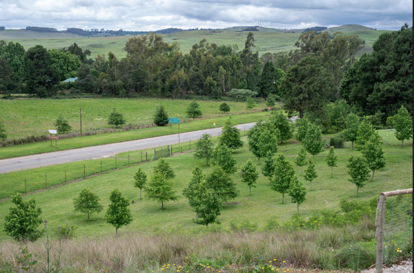650 m² Land