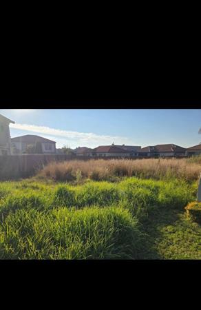 805 m² Land