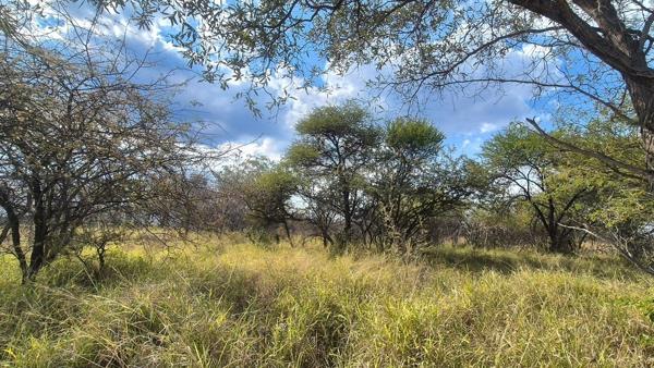 853 m² Land