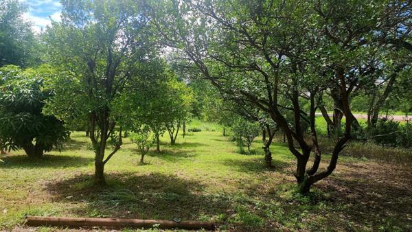 8 ha Farm