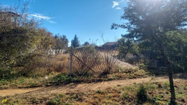1 003 m² Land
