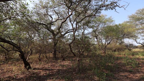 2 100 m² Land