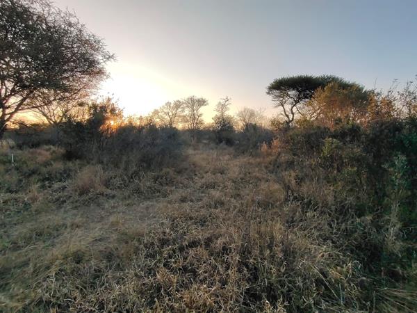 1.2 ha Land
