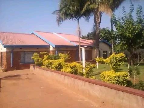 1 ha Smallholding
