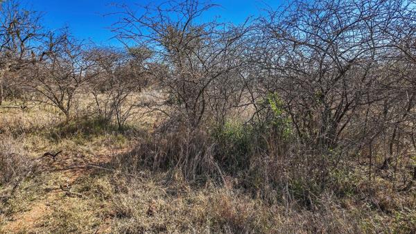 30 ha Land