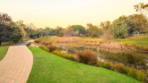 785 m² Land