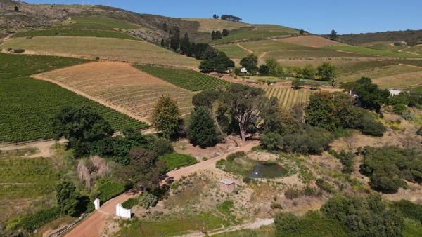 89 ha Farm with House