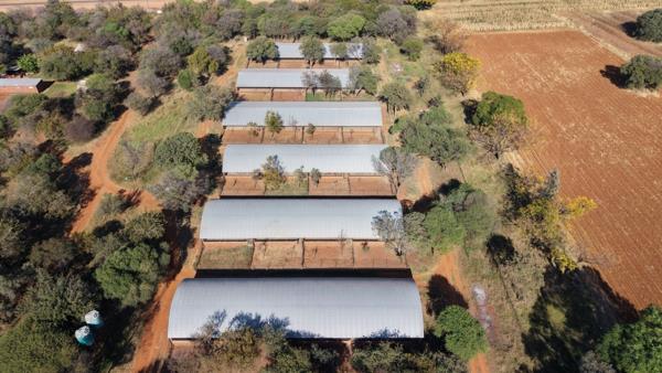 21 ha Farm