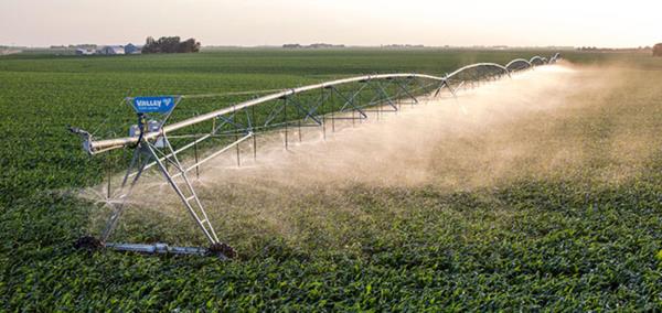 335 ha Farm