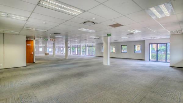 556 m² Commercial space