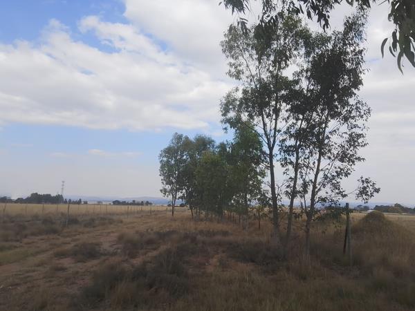 5 623 ha Land