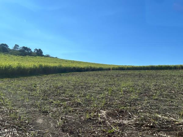 200 ha Agricultural Holding