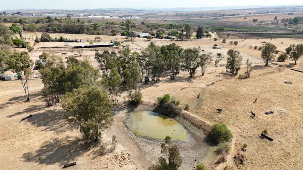 4.2 ha Land