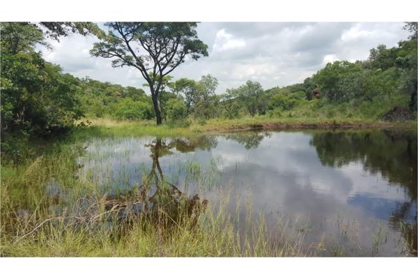 23 ha Commercial Farm