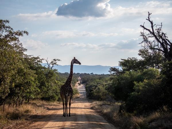 9 398 m² Land